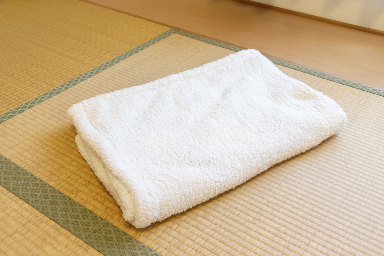 和室の畳にカビが…原因とすぐできるカビ取り方法