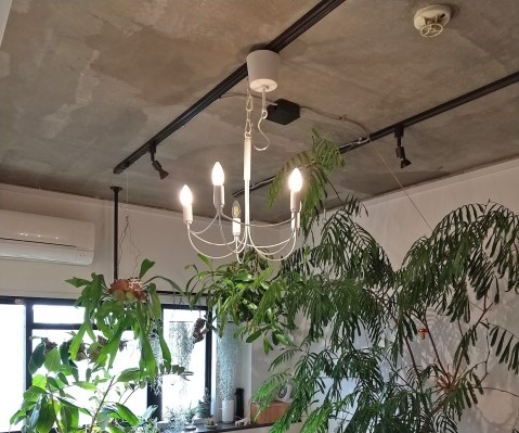 こんなスタイルも！和室に合わせるシャンデリア照明