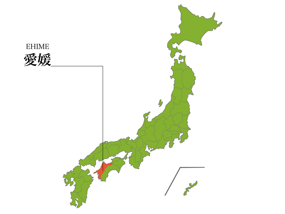 愛媛県