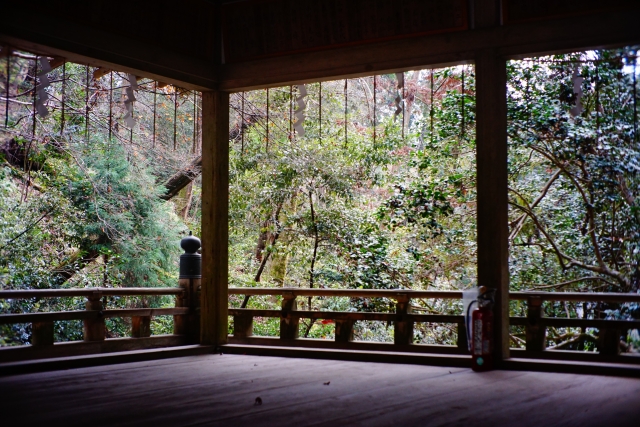 厳かな神社の景色