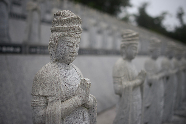 仏教・禅の智慧とは？智慧と知恵の違いについて - wakore 和の暮らし