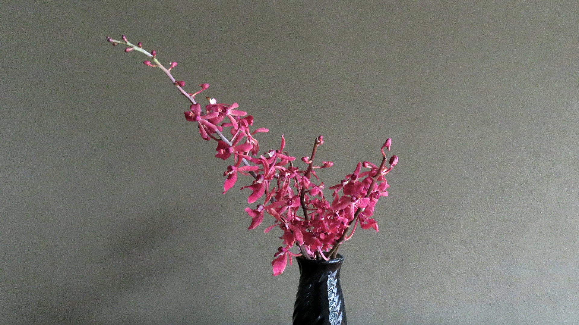 Basic Ikebana Arrangement for Beginners