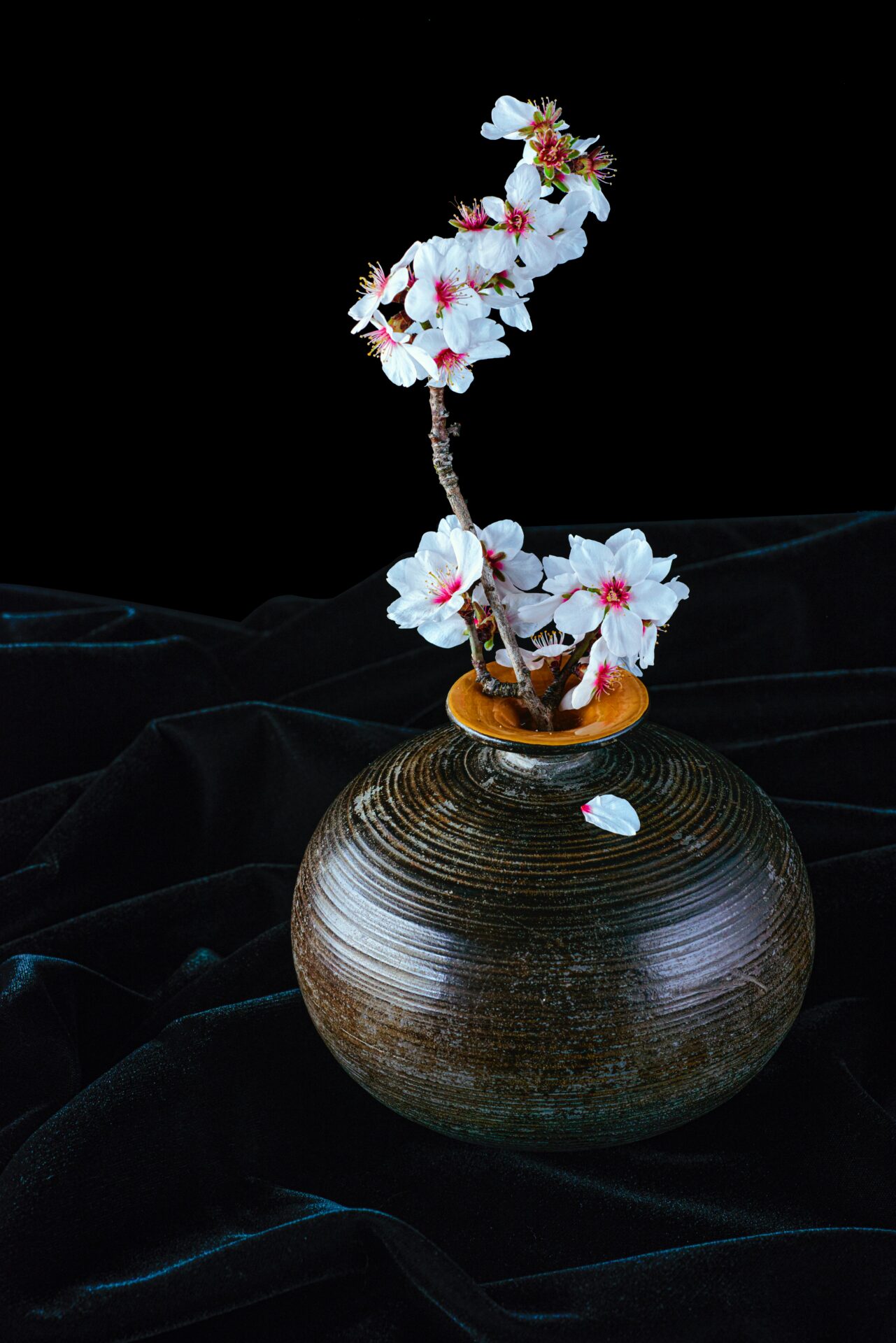 Introducing some of the representative styles of Kado and Ikebana.