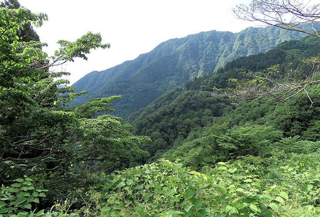 山林売買の相場