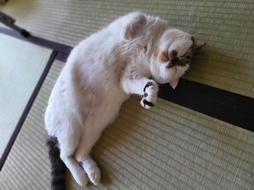 捨て活の方法