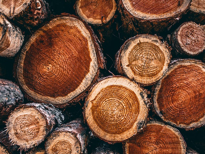 床柱（とこばしら）とは？の画像